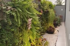 WhatsApp-Image-2025-03-24-at-23.05.30-4