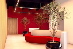 WhatsApp-Image-2025-03-16-at-03.12.30-8